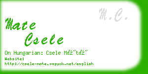 mate csele business card